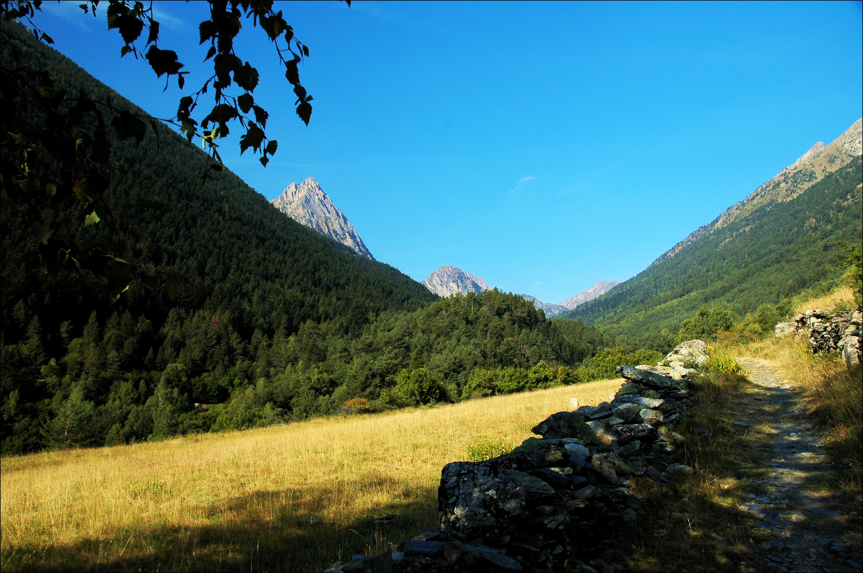 The Delight of the Path