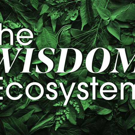 The Wisdom Ecosystem