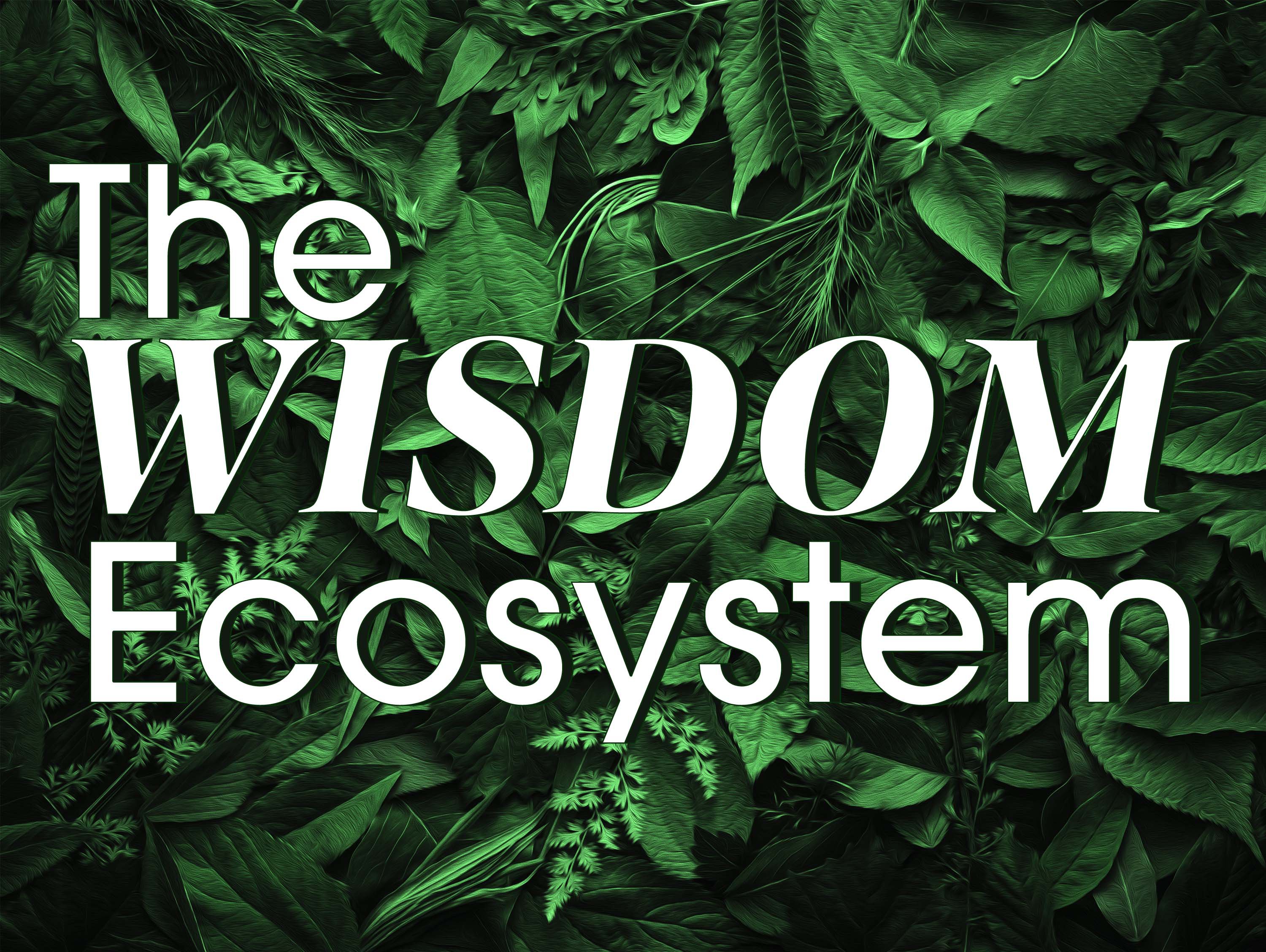 The Wisdom Ecosystem