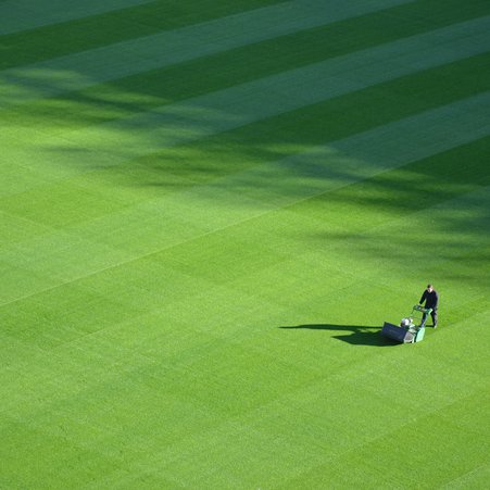 Mowing the Lawn