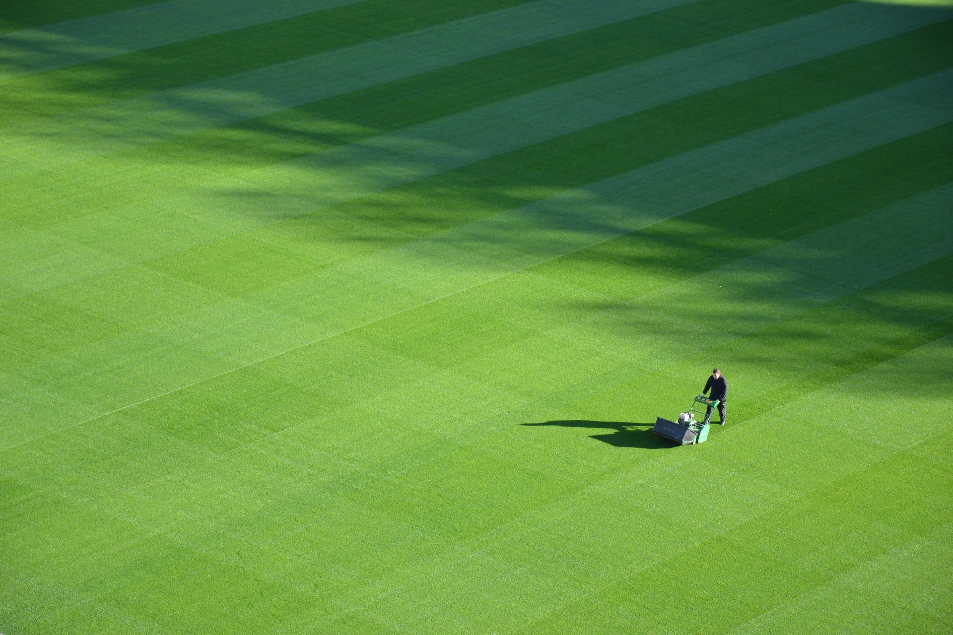 Mowing the Lawn